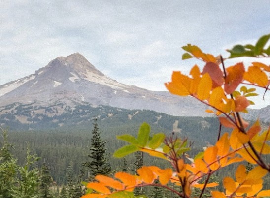 Mount Hood National Forest, Oregon