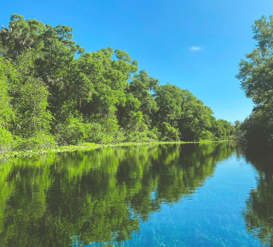 Ocala National Forest, Florida