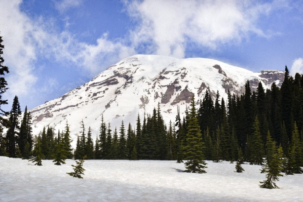 Mount Rainier National Park