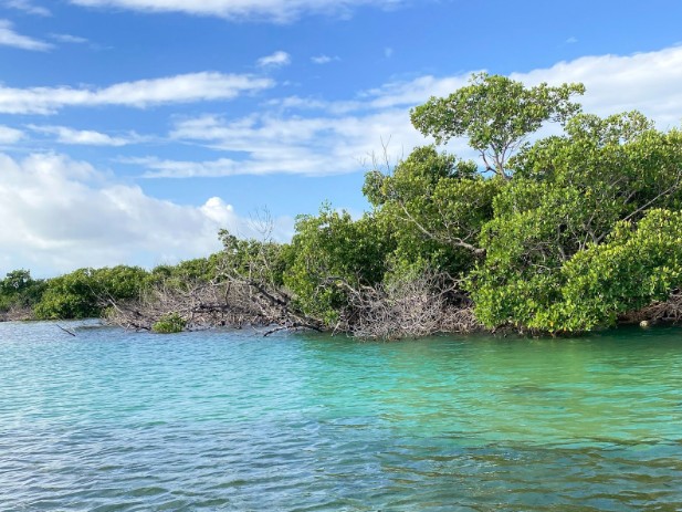 Biscayne National Park