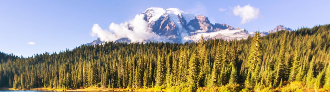 Mount Rainier National Park