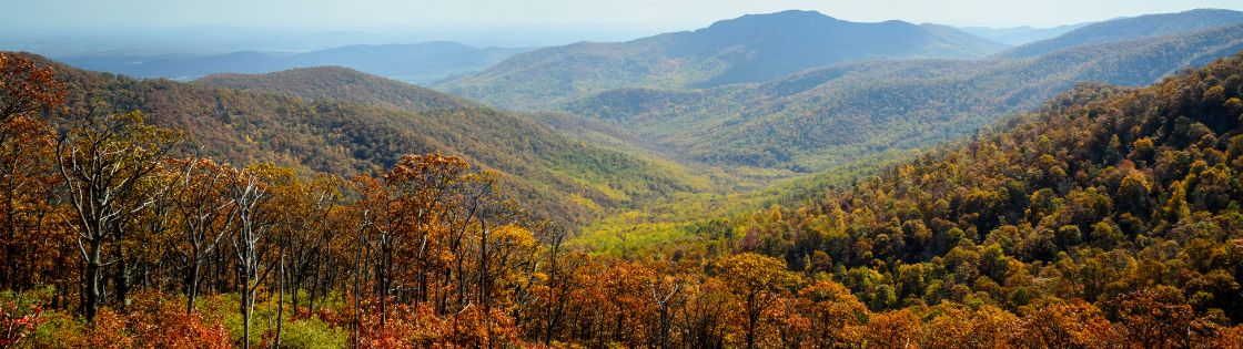 Shenandoah National Park